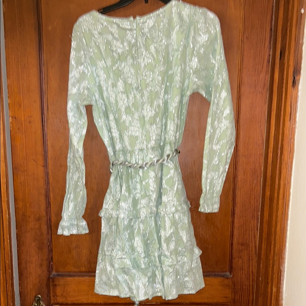 NWT Roller Rabbit Green & Silver Dress with belt - size Medium - Picture 8 of 9